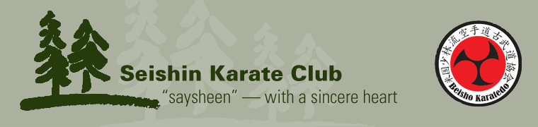 Seishin Karate Club